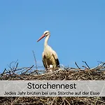 Tinyhousebeidresden Mit Fasssauna Spektakulaeres Winziges Haeuschen Auf Stelzen Im Pferdeteich, Kaminofen, Umlaufende Terrasse - Naehe Saechsische Schweiz - Von Juni - September Mindestmietzeit 1 Woche Sa-sa * Großharthau