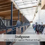 Tinyhousebeidresden Mit Fasssauna Spektakulaeres Winziges Haeuschen Auf Stelzen Im Pferdeteich, Kaminofen, Umlaufende Terrasse - Naehe Saechsische Schweiz - Von Juni - September Mindestmietzeit 1 Woche Sa-sa בית נופש *