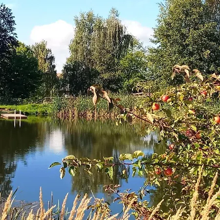 Tinyhousebeidresden 2 Im Teich - Naehe Saechsische Schweiz, Dresden, Mit Badeteich & Fasssauna Holiday home