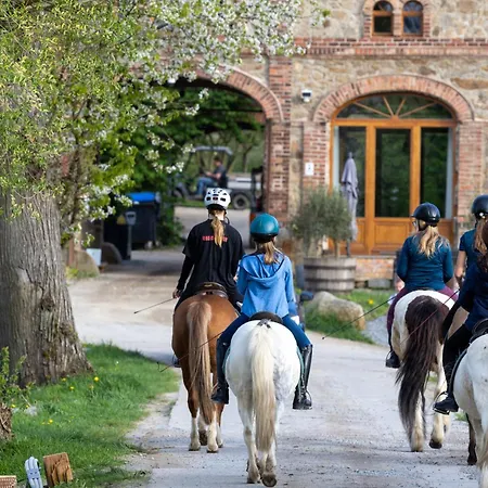 Tinyhousebeidresden 2 Im Teich - Naehe Saechsische Schweiz, Dresden, Mit Badeteich & Fasssauna * Grossharthau