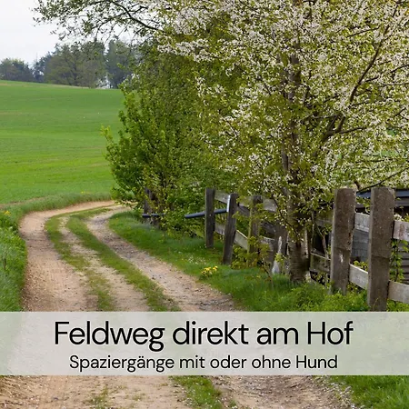 Feriehus Spektakulaeres Tiny House Im Teich Mit Terrasse Und Kamin - Juli - August Mindestmietzeit 1 Woche Sa-Sa Großharthau