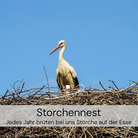 Tinyhousebeidresden Mit Fasssauna Spektakulaeres Winziges Haeuschen Auf Stelzen Im Pferdeteich, Kaminofen, Umlaufende Terrasse - Naehe Saechsische Schweiz - Von Juni - September Mindestmietzeit 1 Woche Sa-sa * Großharthau