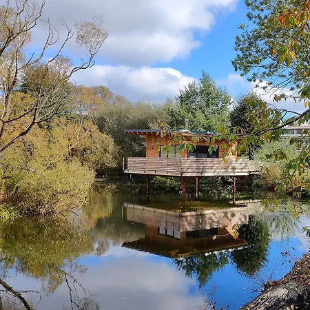 Spektakulaeres Tiny House Im Teich Mit Terrasse Und Kamin Großharthau